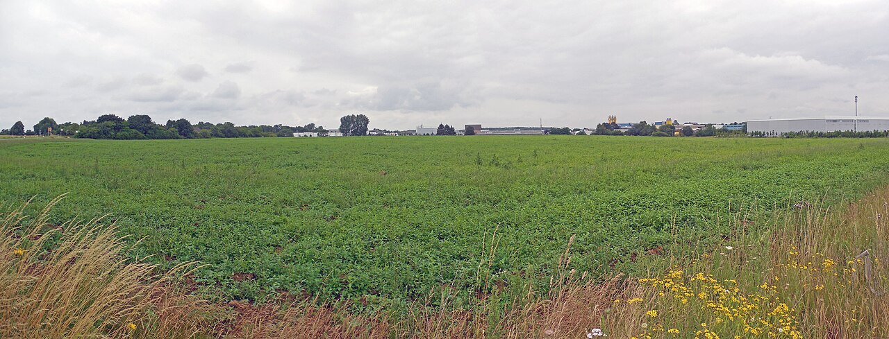Bodendenkmal II/008 Römischer Burgus nahe Am Schwefelberg, Gemarkung Pulheim Flur 3 – Hundewiese Stadt Pulheim