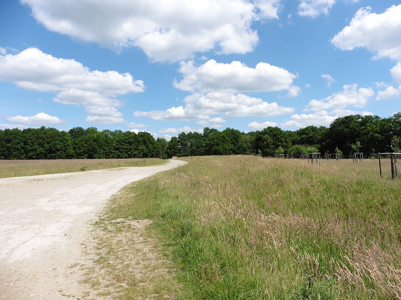 Wentorfer Lohe – Lohe Hundewiese, Hamburg