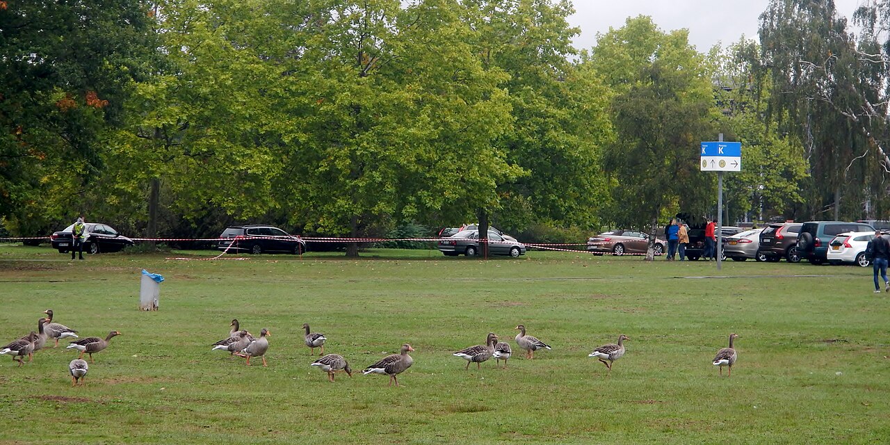 Rebstockpark – Alter Rebstockpark, Wiesbaden