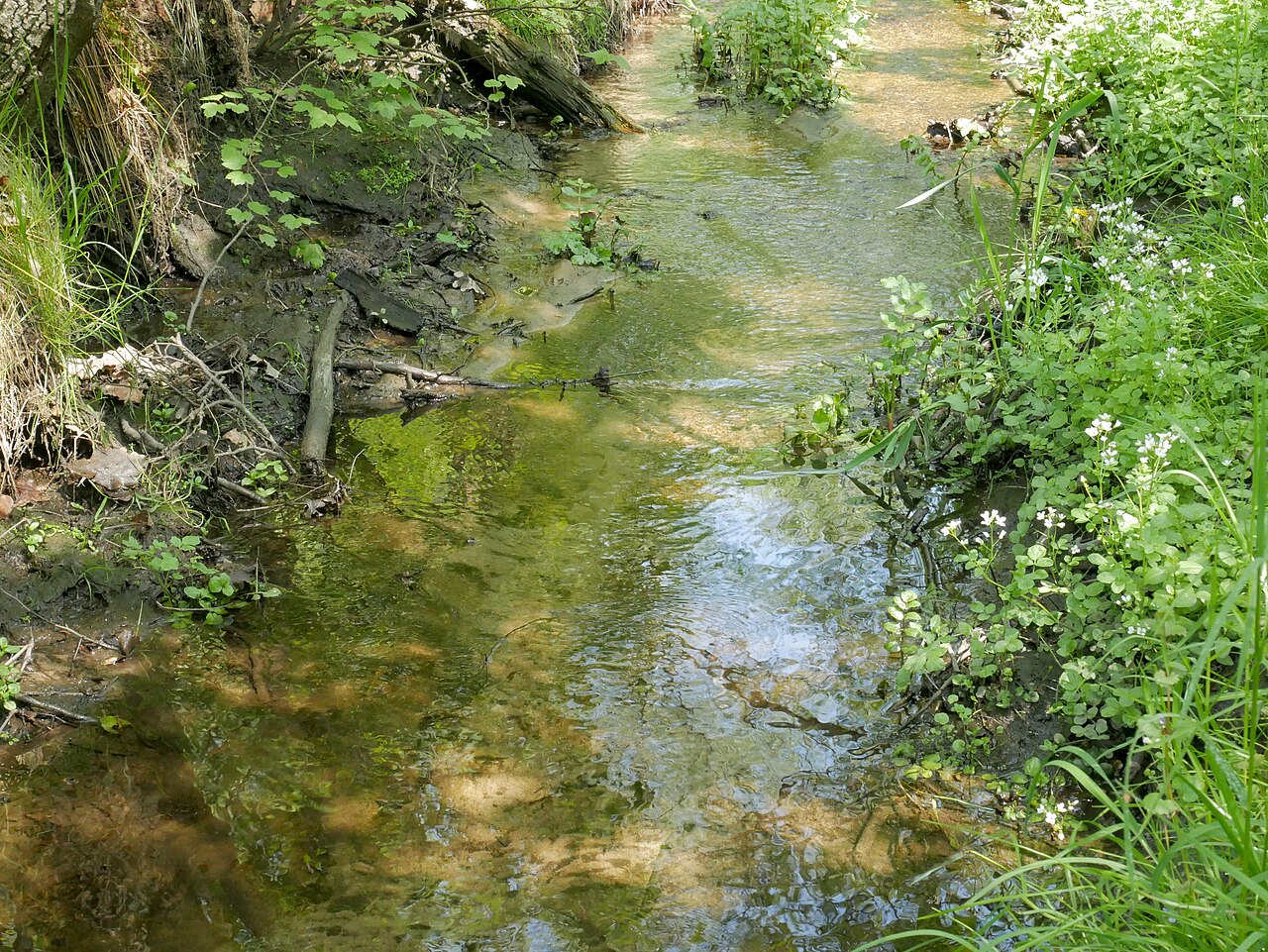 Reindorfer Bach – Reindorfer Wald, Hamburg