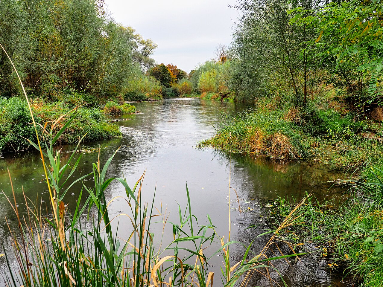 Die Rems bei Winterbach – VdH Winterbach