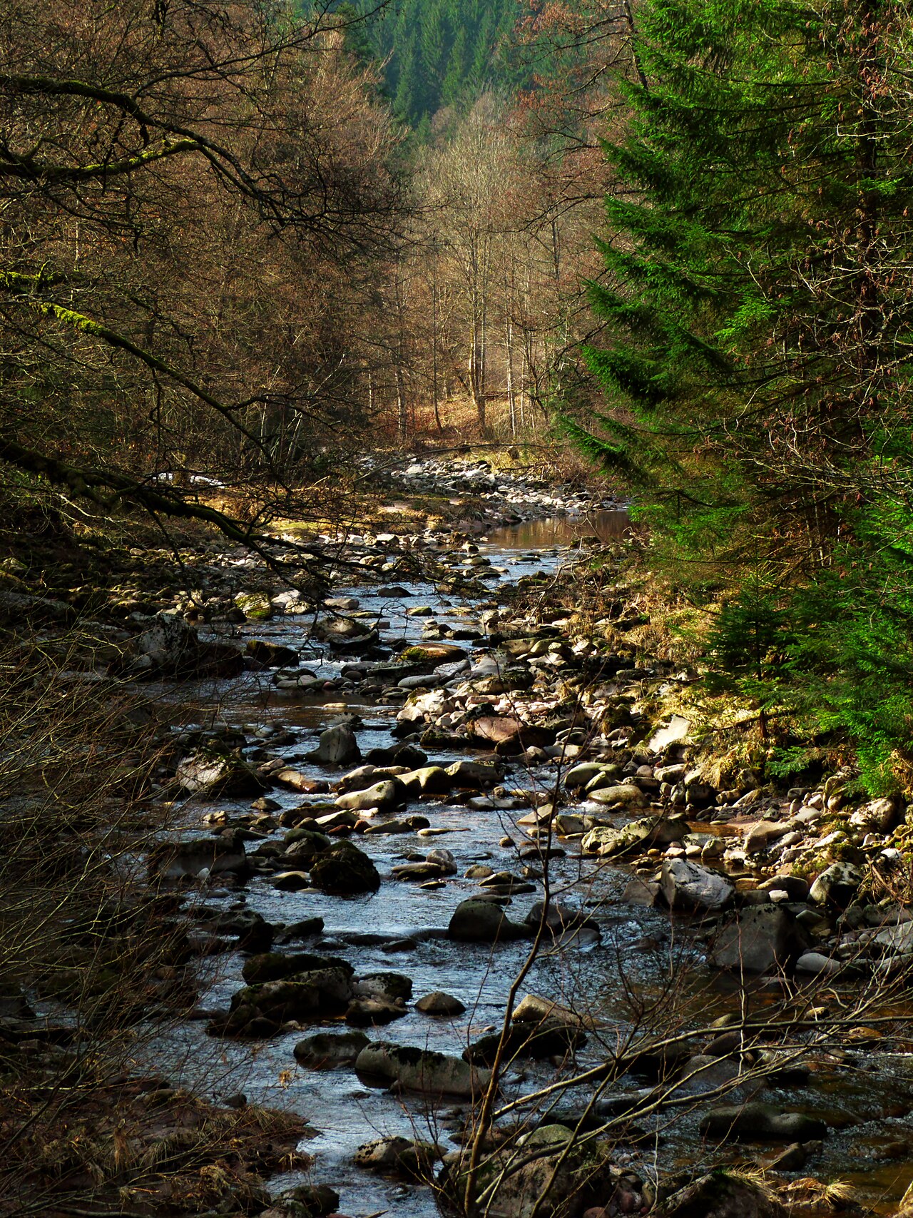 Schönmünzach In Winter – Naturcamping Schönmünz
