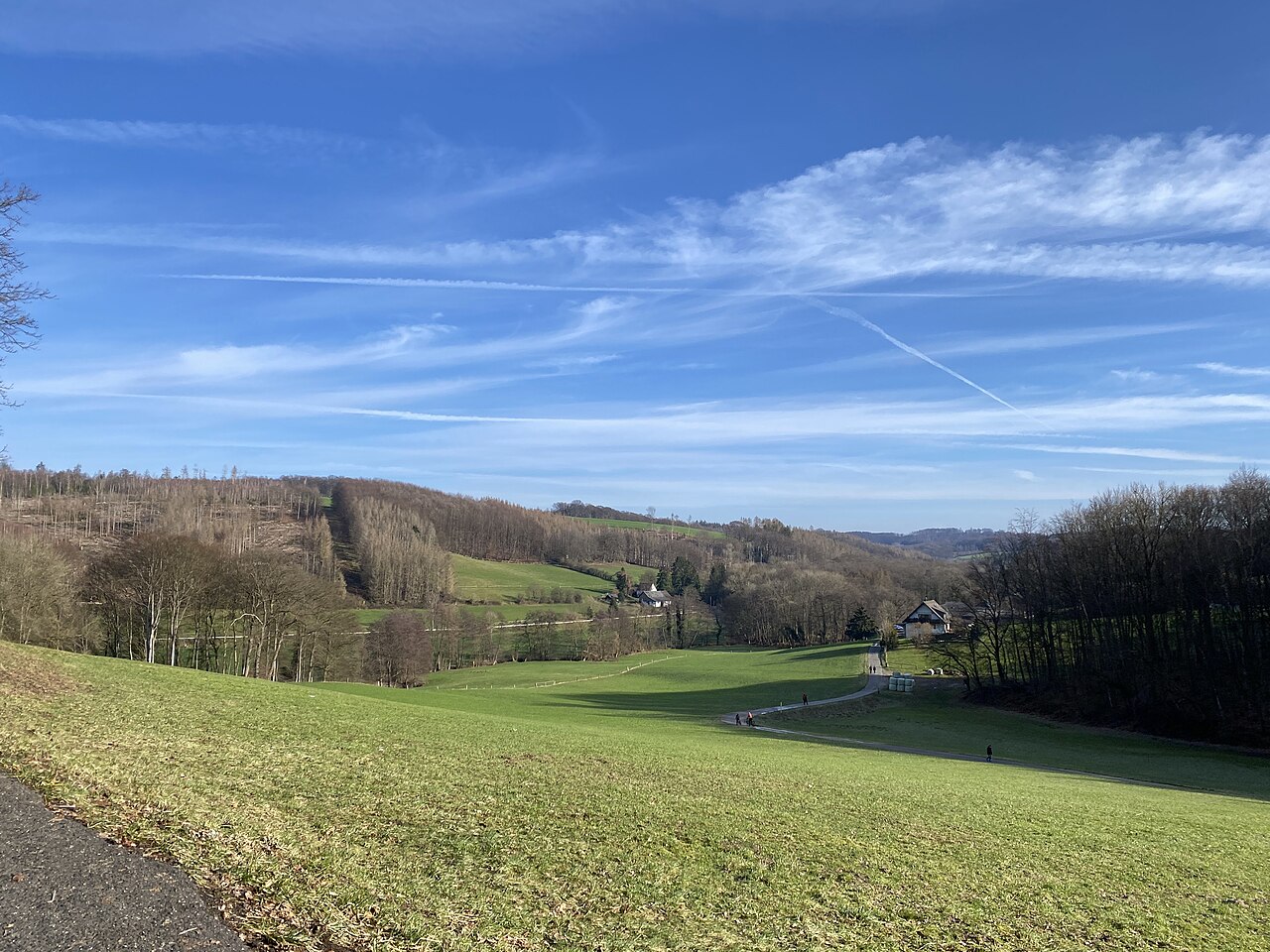 Scherfbachtal (Odenthal) – Hundesportverein Odenthal e.V.
