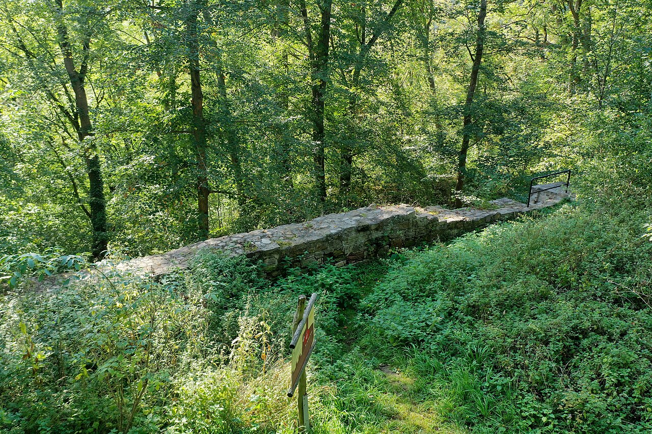 Wall of the castle remains on Schlossberg hill in Bad Berka, Germany, September 2024 – Hundeplatz FSHV Bad Berka e.V.