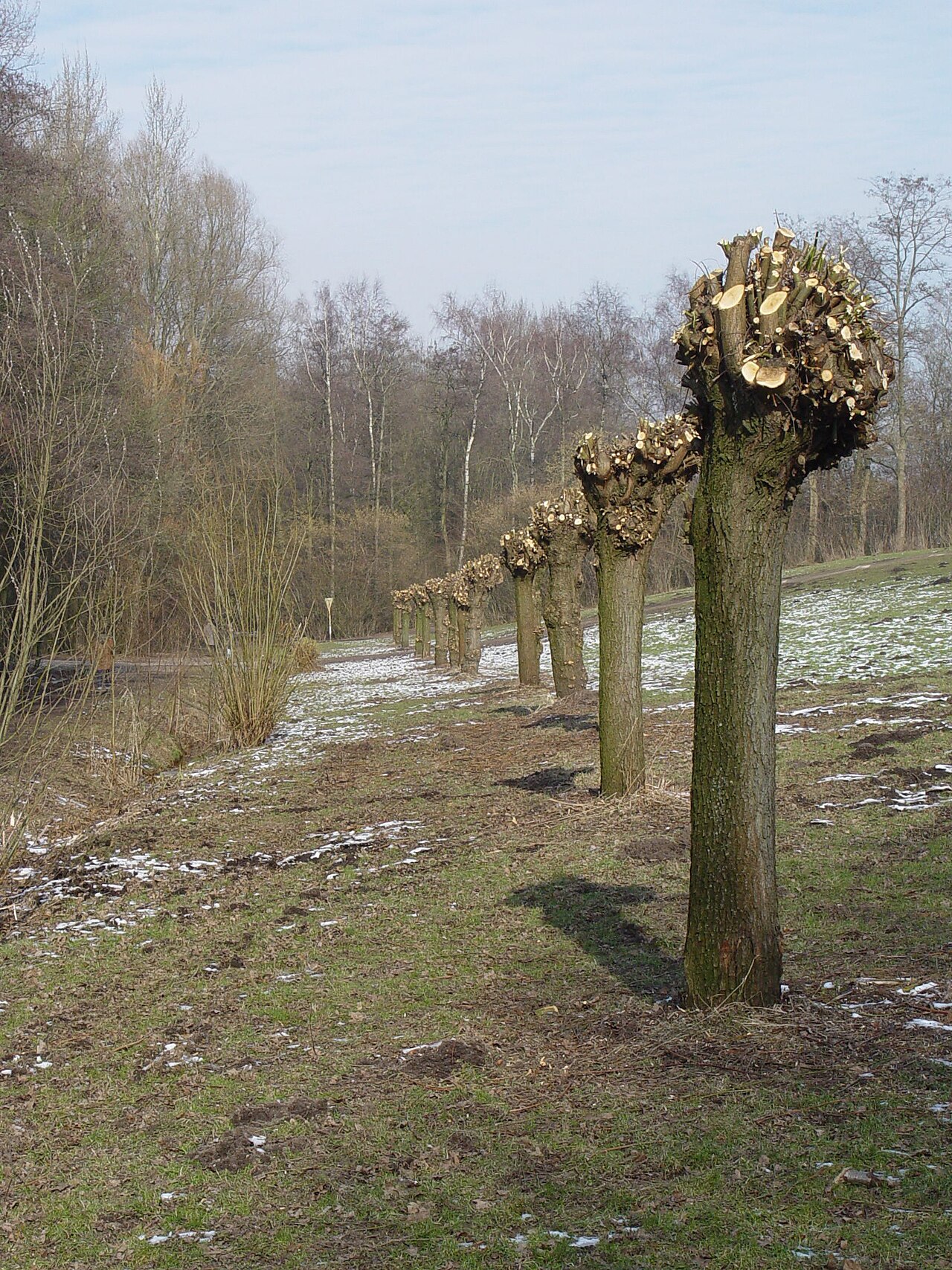 Germany, Hamburg, Park named Stellinger Feldmark. – Stellinger Schweiz, Hamburg