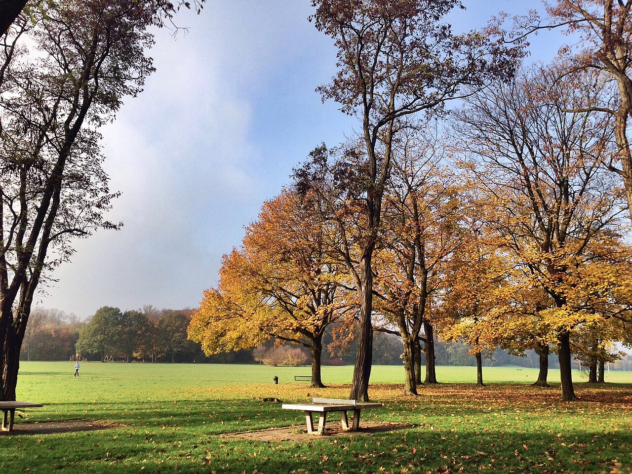 500px provided description: 10838397416 Jpg [] – Merheimer Heide Süd (Höhenberg), Köln