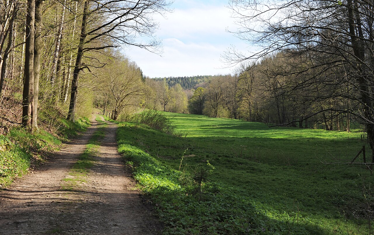 Liebstadt: Blick in den Trebnitzgrund, talaufwärts (Landkreis Sächsische – Trebnitzgrund, Dresden