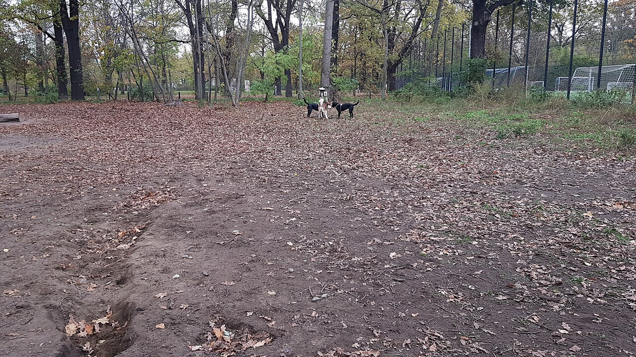 Volkspark Friedrichshain dog  park – Volkspark Friedrichshain Hundeplatz