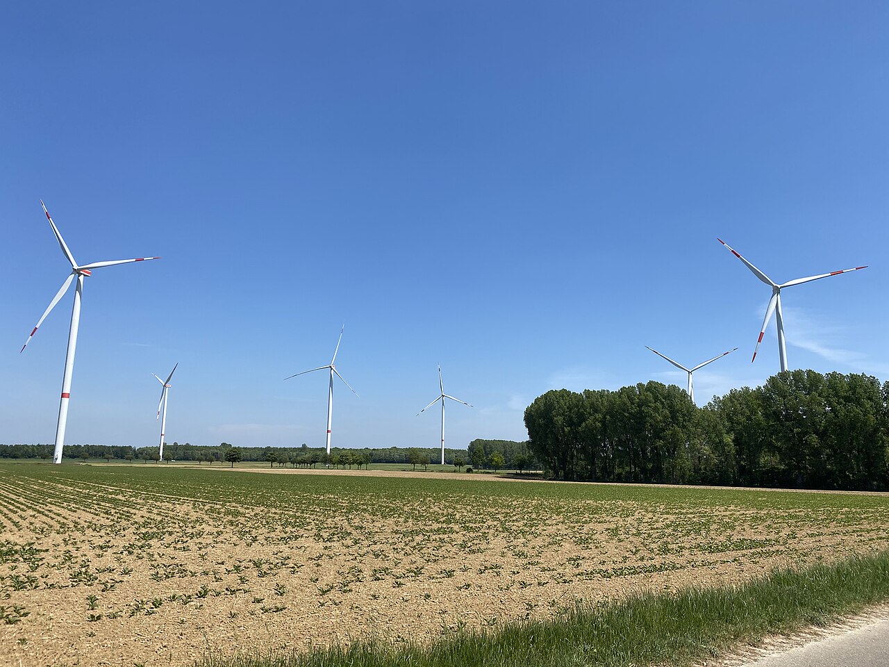 Blick auf sechs der sieben Windenergieanlagen auf der Vollrather Höhe – Vollrather Höhe, Düsseldorf