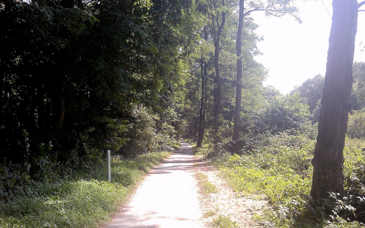 Waldweg im Stadtwald Neuss – Hundefreilauf Neuss, Düsseldorf