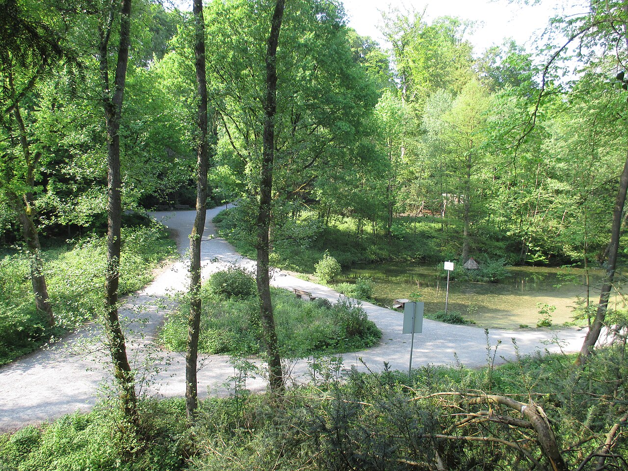 Weg durch den Witthausbusch am Ententeich. – Witthausbusch, Düsseldorf