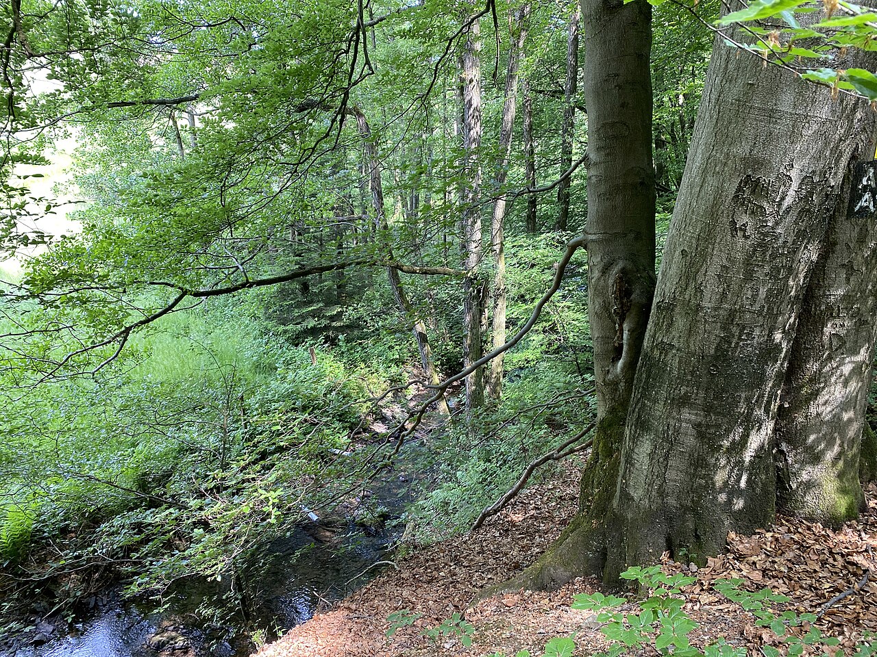 Wiebachtal Mittellauf – Wiebachtal, Hückeswagen