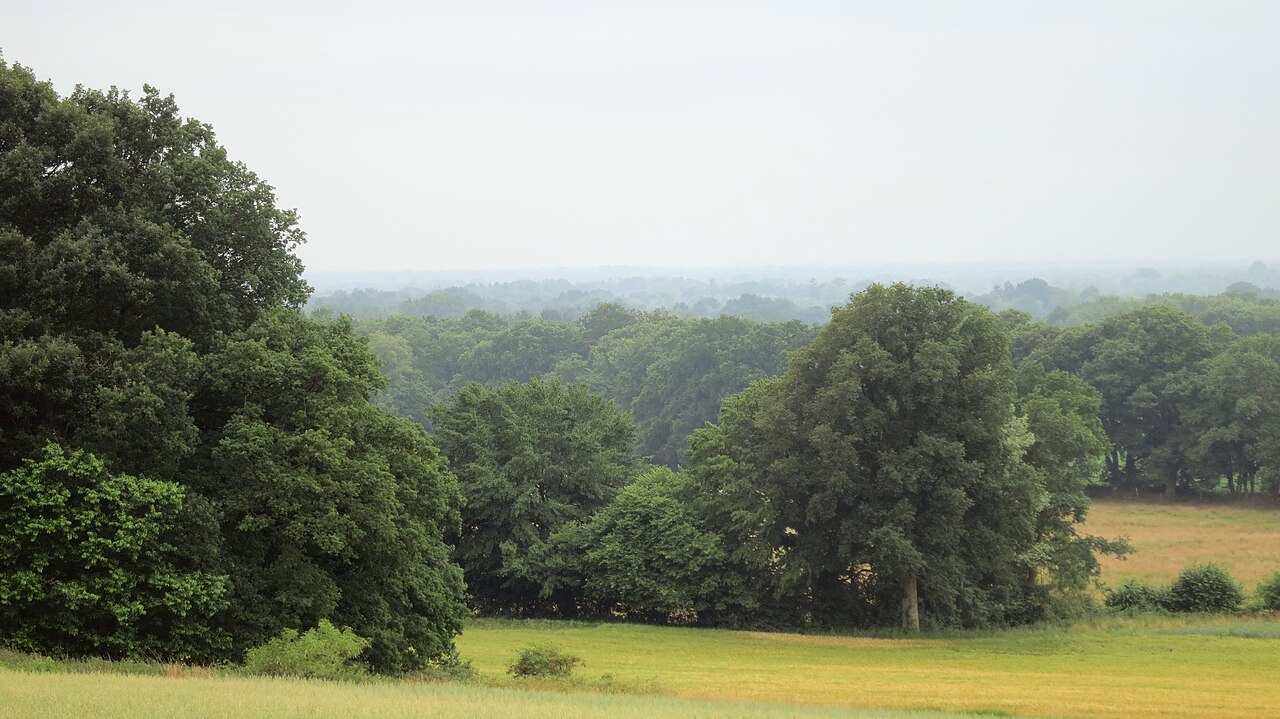 Blick vom Weyerberg nach Nordwesten – Weyerberg, Bremen