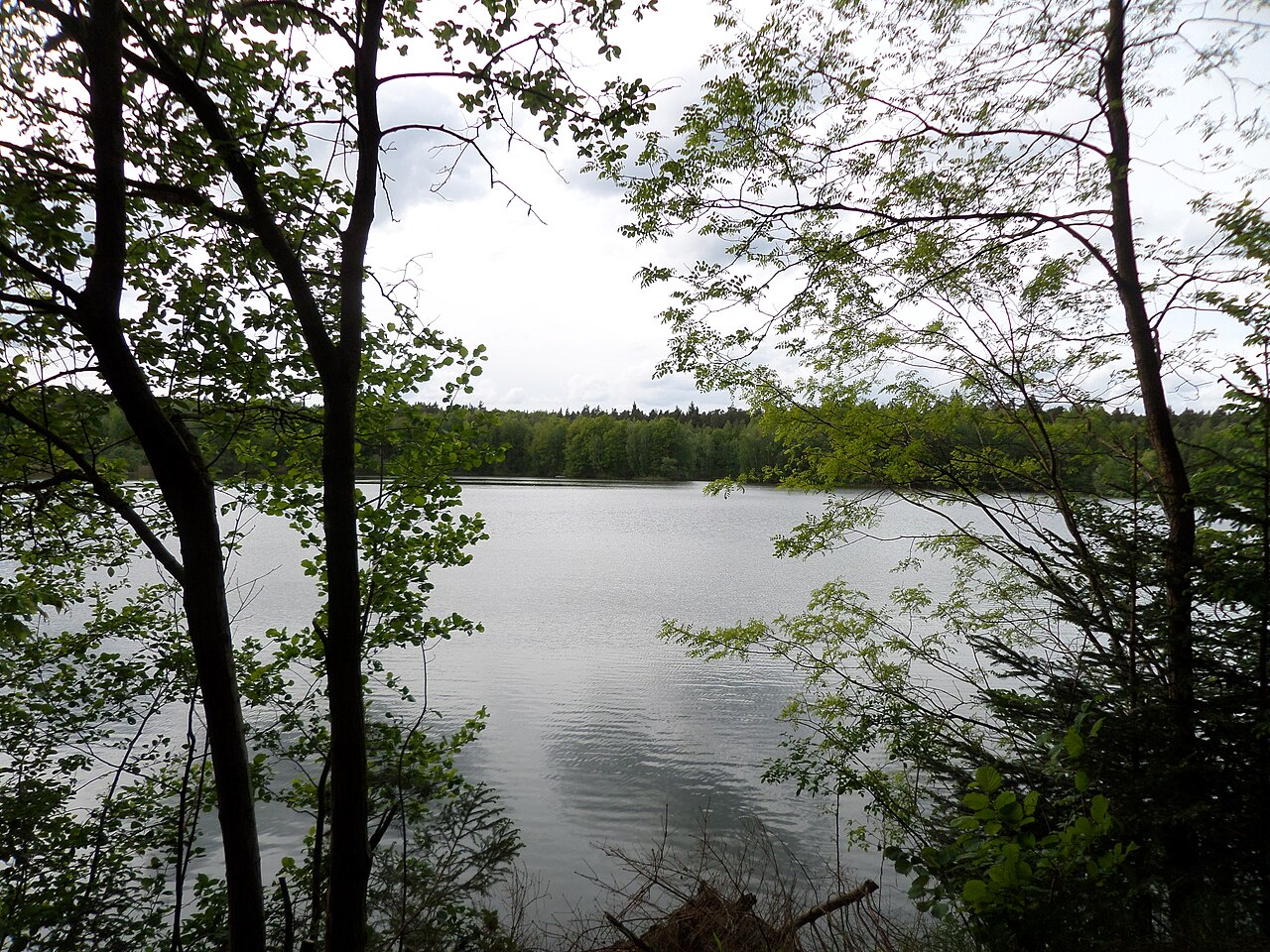Zapfweiher (Behringersdorfer Forst) – Wiese & Wald Behringersdorfer Forst, Nürnberg