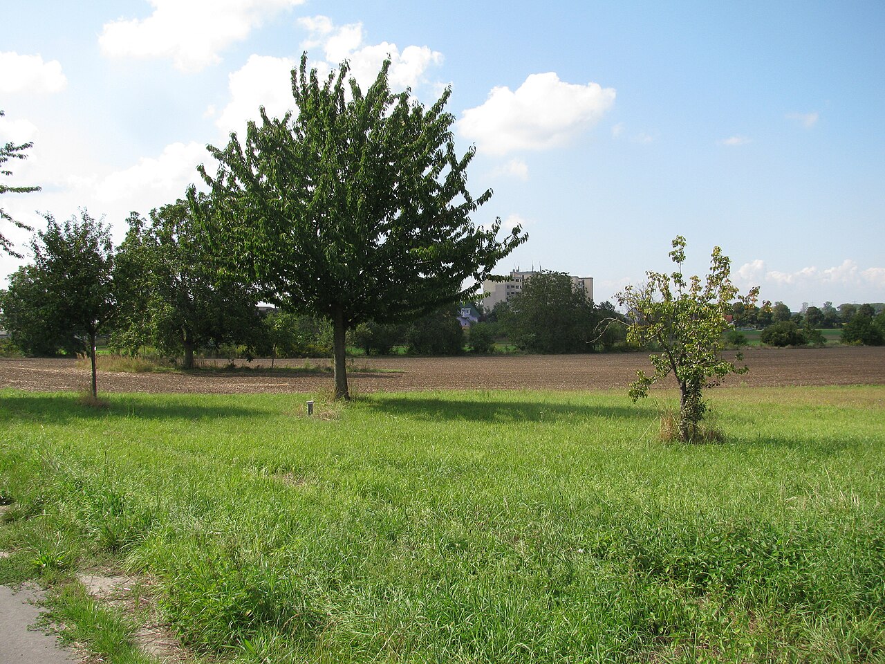 der Platz des ehemaligen Wasserwerks von Alsbach, heute nur noch eine – Feld bei Alsbach, Mannheim