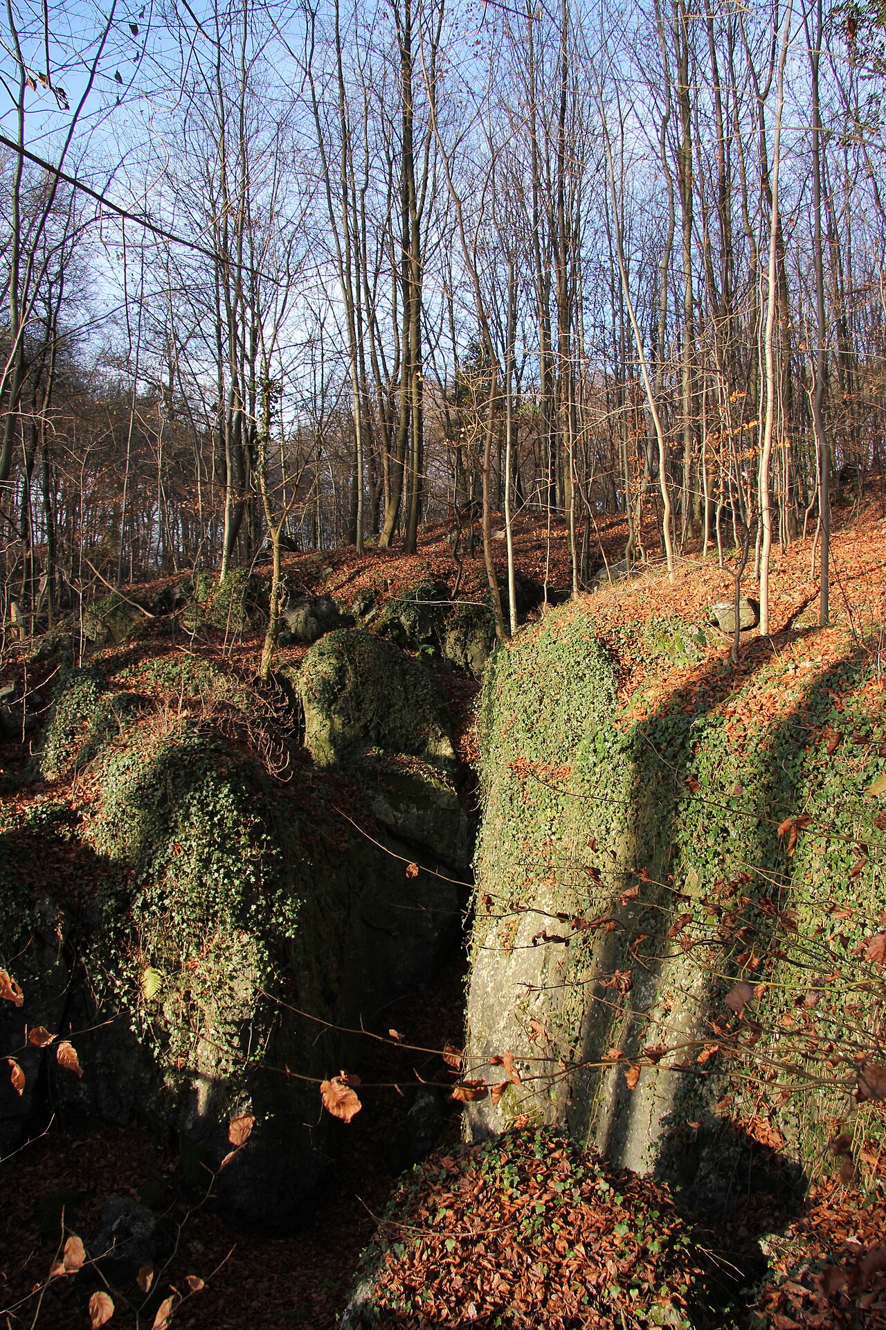 Das Felsenmeer im sauerländischen Hemer ist ein seit 1968 unter Naturschutz stehendes – Wiese am Felsenmeer, Dortmund