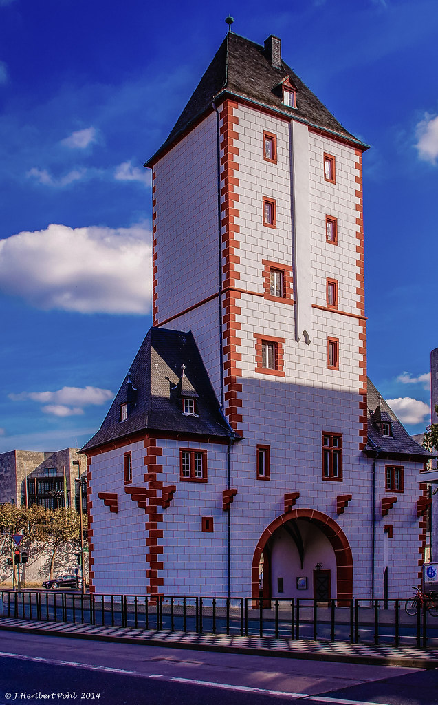 Blick auf Mainz – hundefreundliche Region rund um Hundesportverein