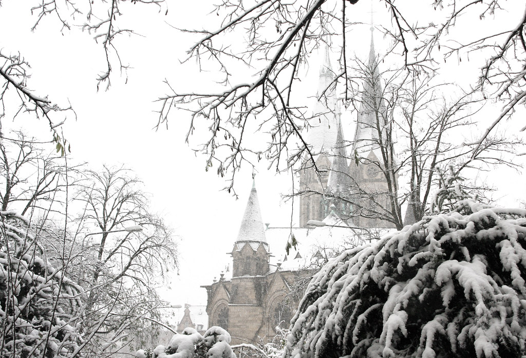 Blick auf Wiesbaden – hundefreundliche Region rund um Verein für Deutsche Schäferhunde, Ortsgruppe Mainz-Kastel