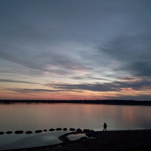Markkleeberger See in Leipzig – Hundeort für Hunde