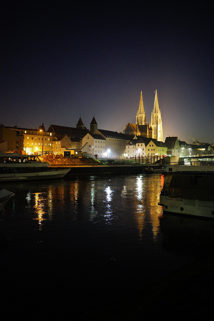 Blick auf Regensburg – hundefreundliche Region rund um Includio Hotel