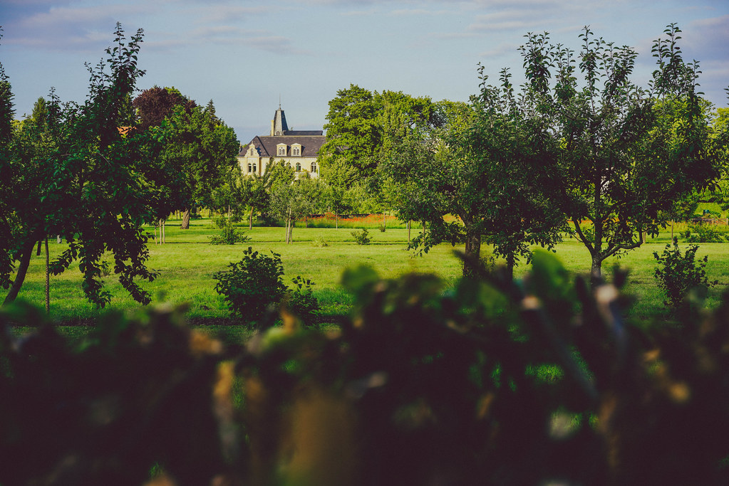 Blick auf Potsdam – hundefreundliche Region rund um Restaurant Otto Hiemke