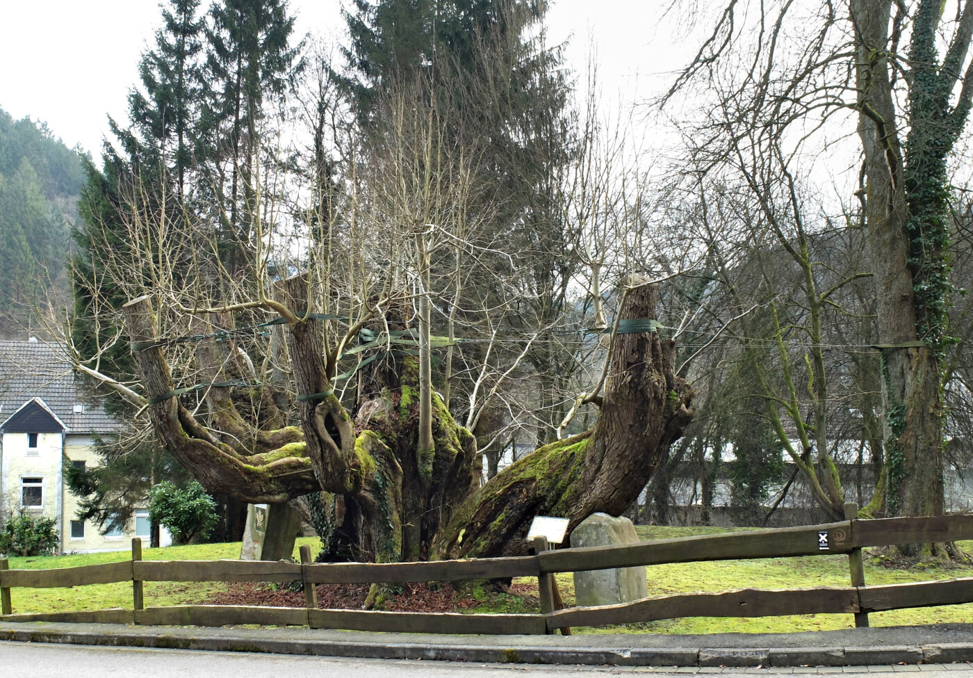 Blick auf Hagen – hundefreundliche Region rund um Helfer Wald