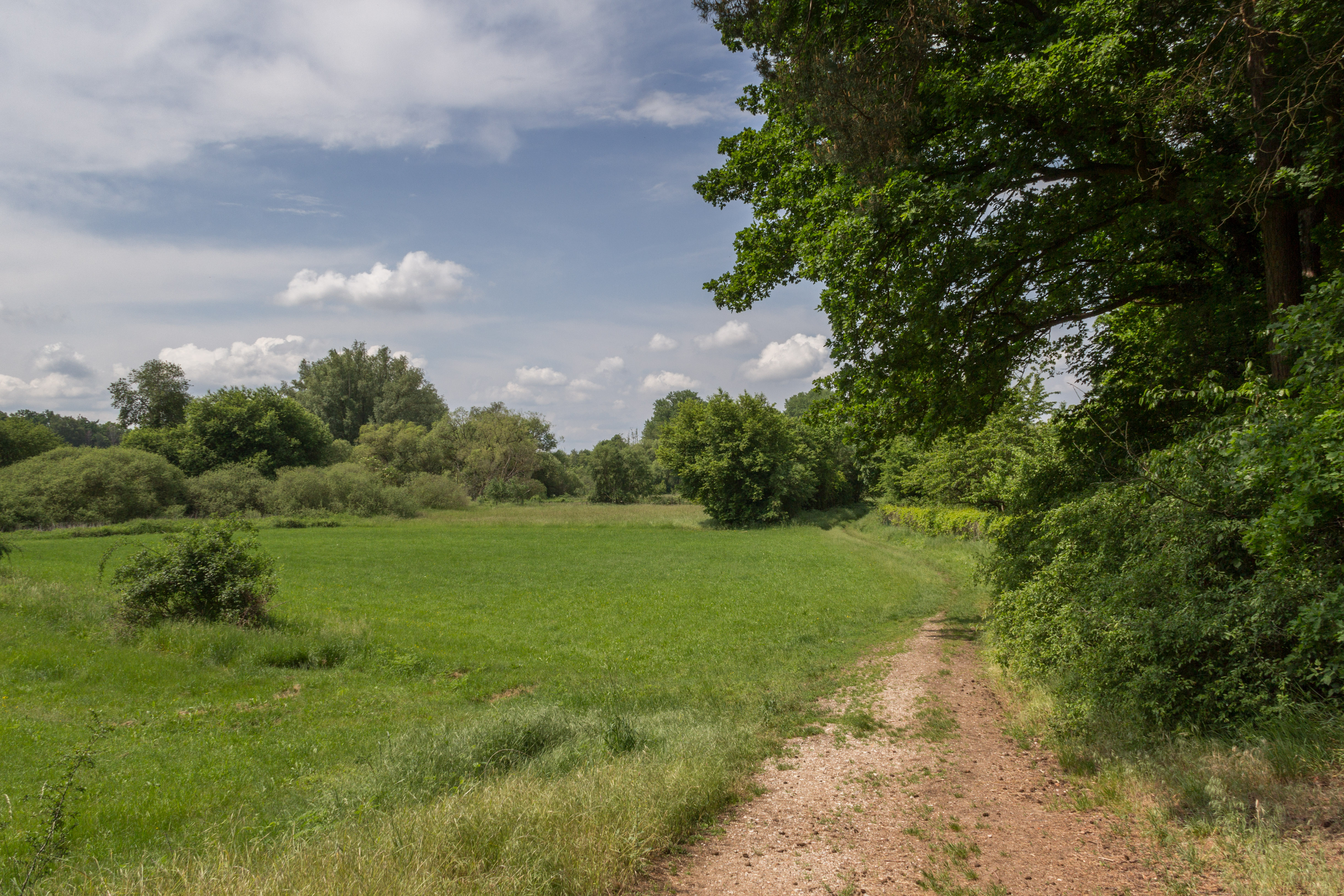 Wiesengrund Katzwang in Nürnberg – Hundeort für Hunde