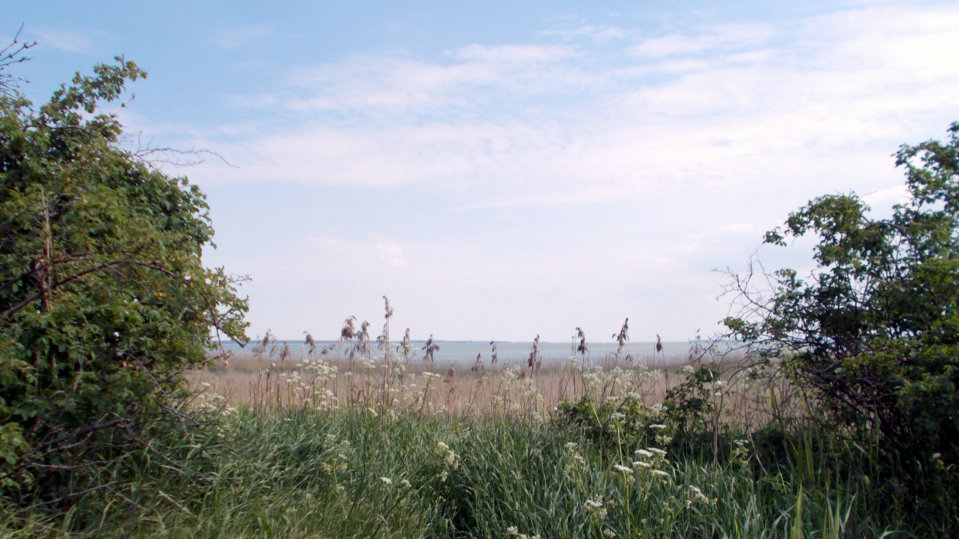 Boddenblick – Hundeort für Hunde
