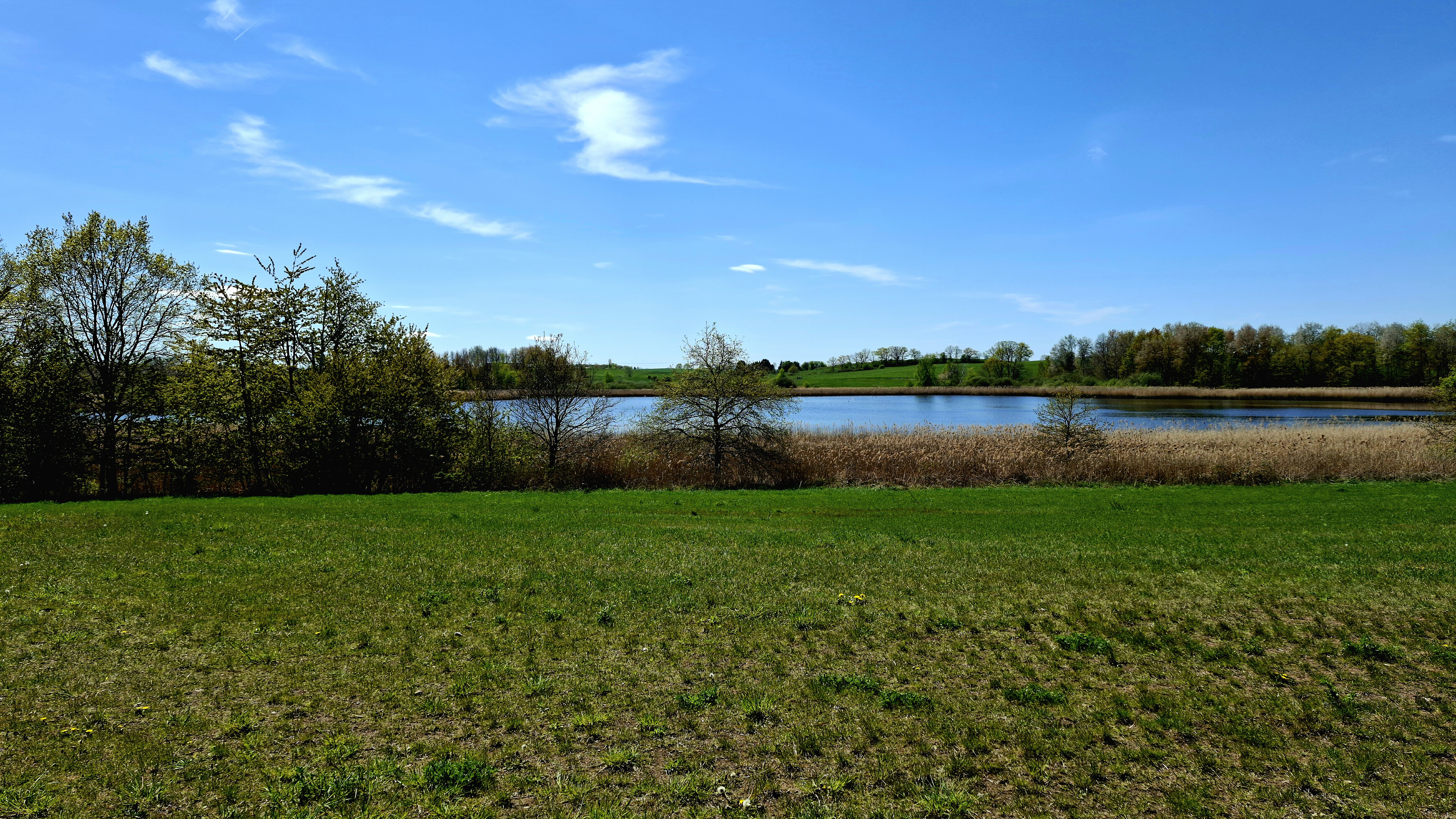 Dippelsdorfer Teich in Dresden – Hundeort für Hunde