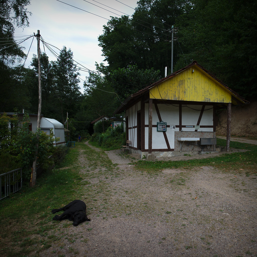Campingplatz Murhof – Hundeort für Hunde