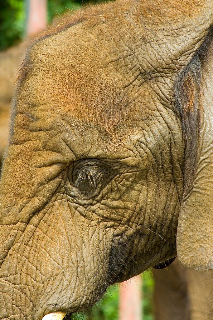 Zoo Rostock – Hundeort für Hunde