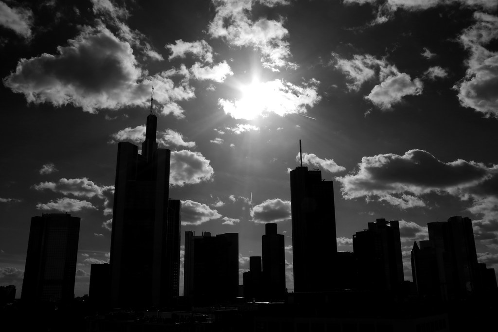 Blick auf Frankfurt am Main – hundefreundliche Region rund um Rot-weiss-Gelände