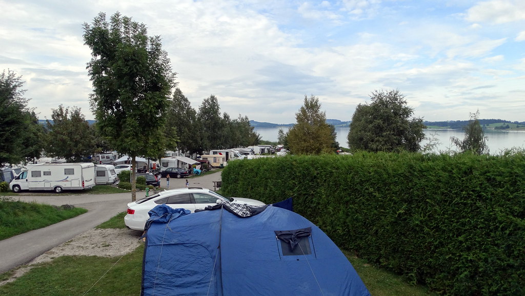 Camping Brunnen – Hundeort für Hunde