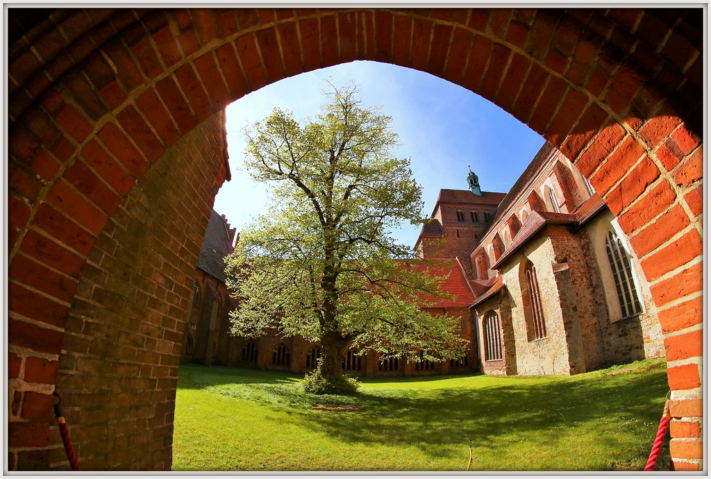 Klostergarten – Hundeort für Hunde