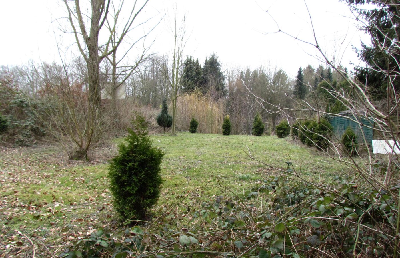 Blick auf Korschenbroich – hundefreundliche Region rund um Restaurant Rittergut Birkhof