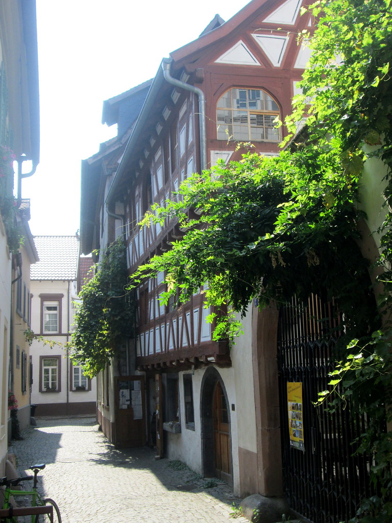 Blick auf Neustadt an der Weinstraße – hundefreundliche Region rund um C1