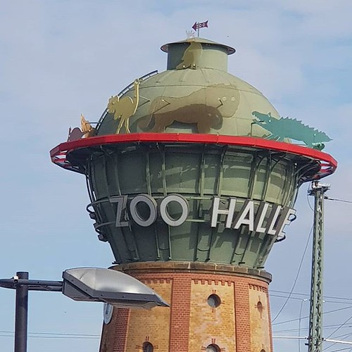 Bergzoo Halle – Hundeort für Hunde