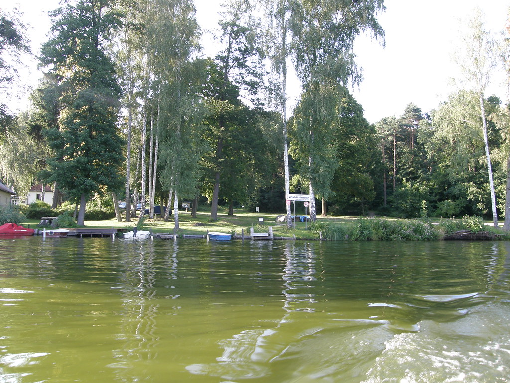 Campingplatz Waldfrieden – Hundeort für Hunde