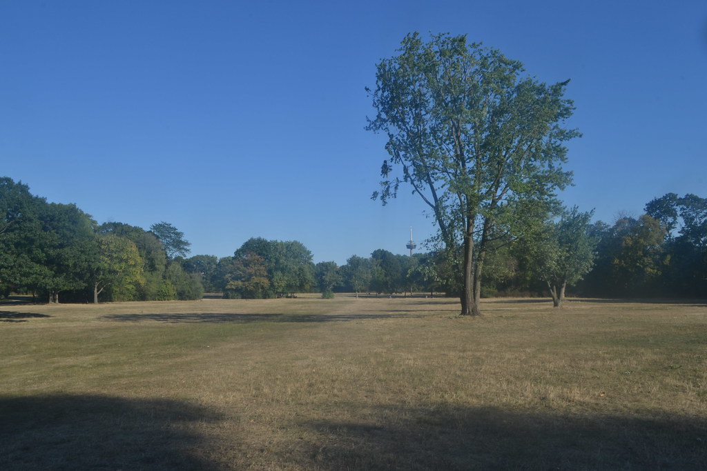 Takufeld in Köln – Hundeort für Hunde