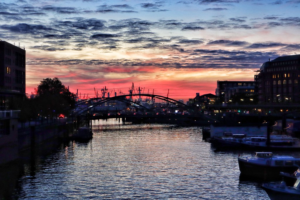 Blick auf Hamburg – hundefreundliche Region rund um Der Hundetyp