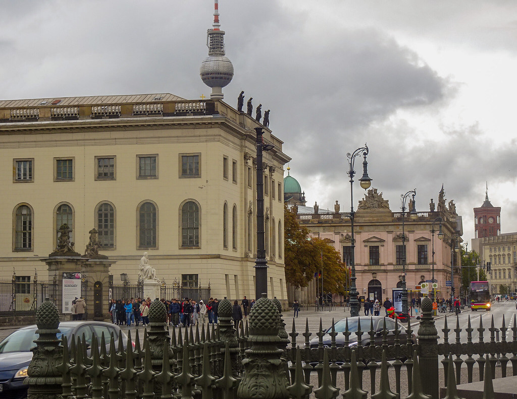 Blick auf Berlin – hundefreundliche Region rund um [mo:im]
