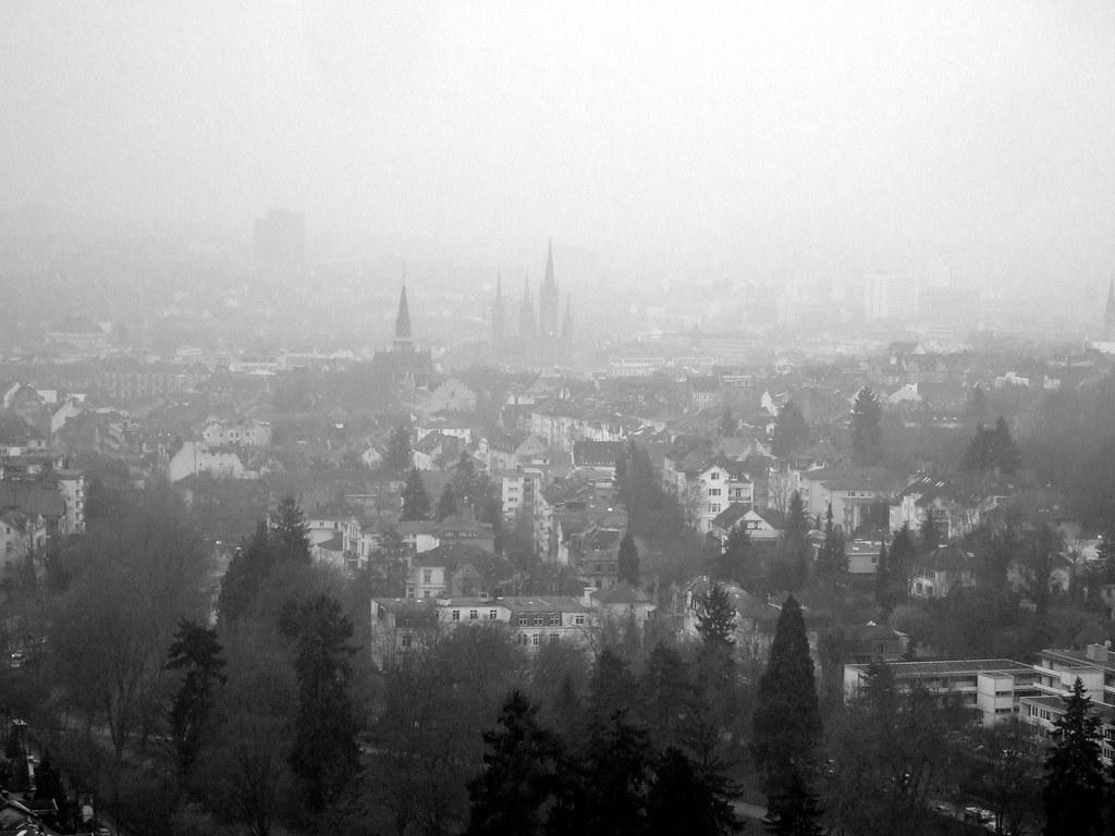 Blick auf Wiesbaden – hundefreundliche Region rund um Uhlerborner Wald