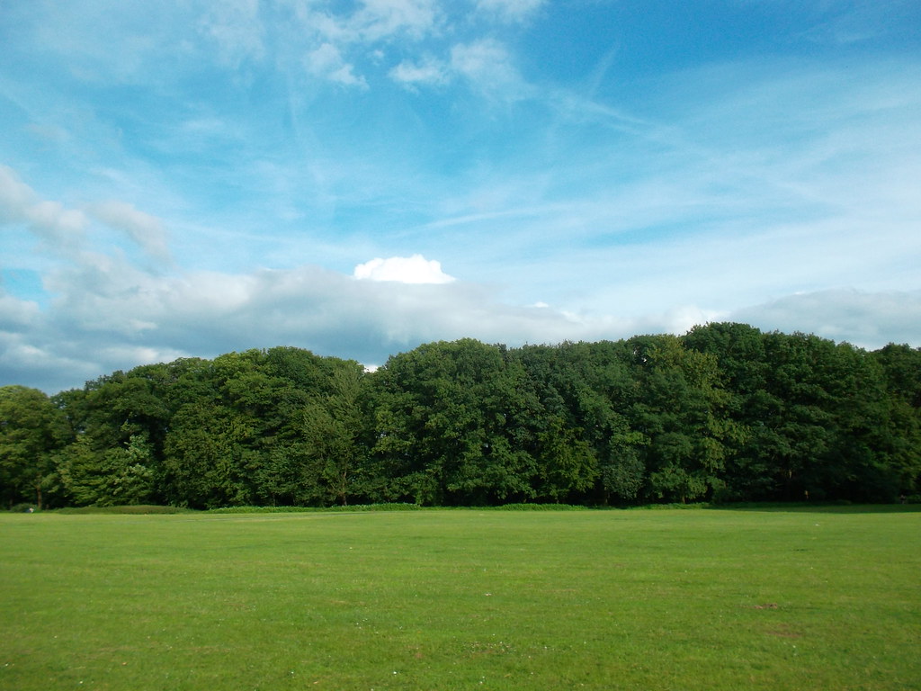 Schlosspark Eller in Düsseldorf – Hundeort für Hunde