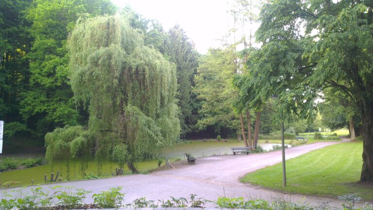 Brake in Bielefeld – Hundeort für Hunde