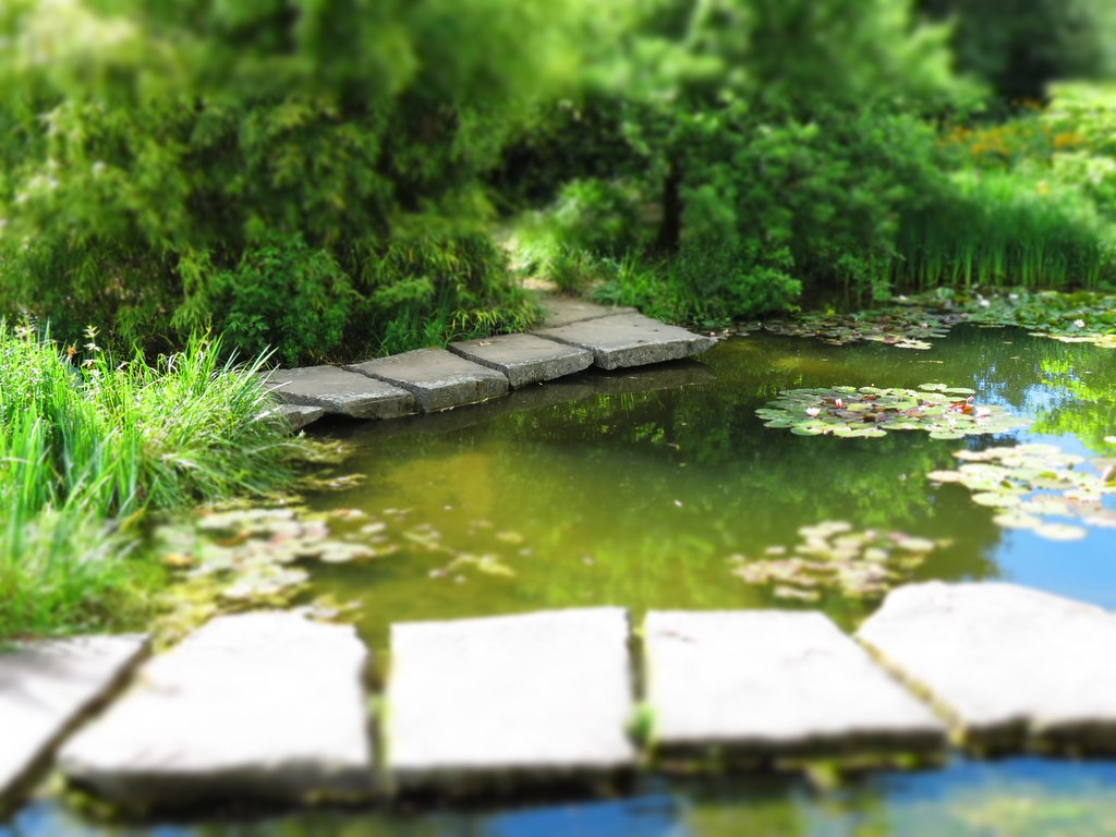 Volksgarten in Düsseldorf – Hundeort für Hunde