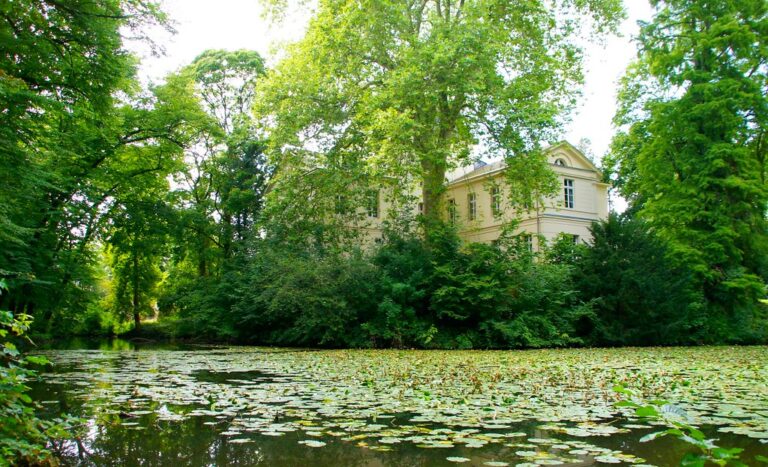 Blick auf Düsseldorf – hundefreundliche Region rund um Hundewiese Jaberg