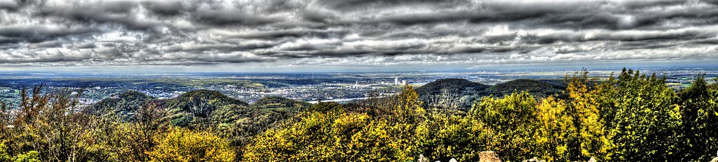 Blick auf Bonn – hundefreundliche Region rund um Hinter der Meiersheide