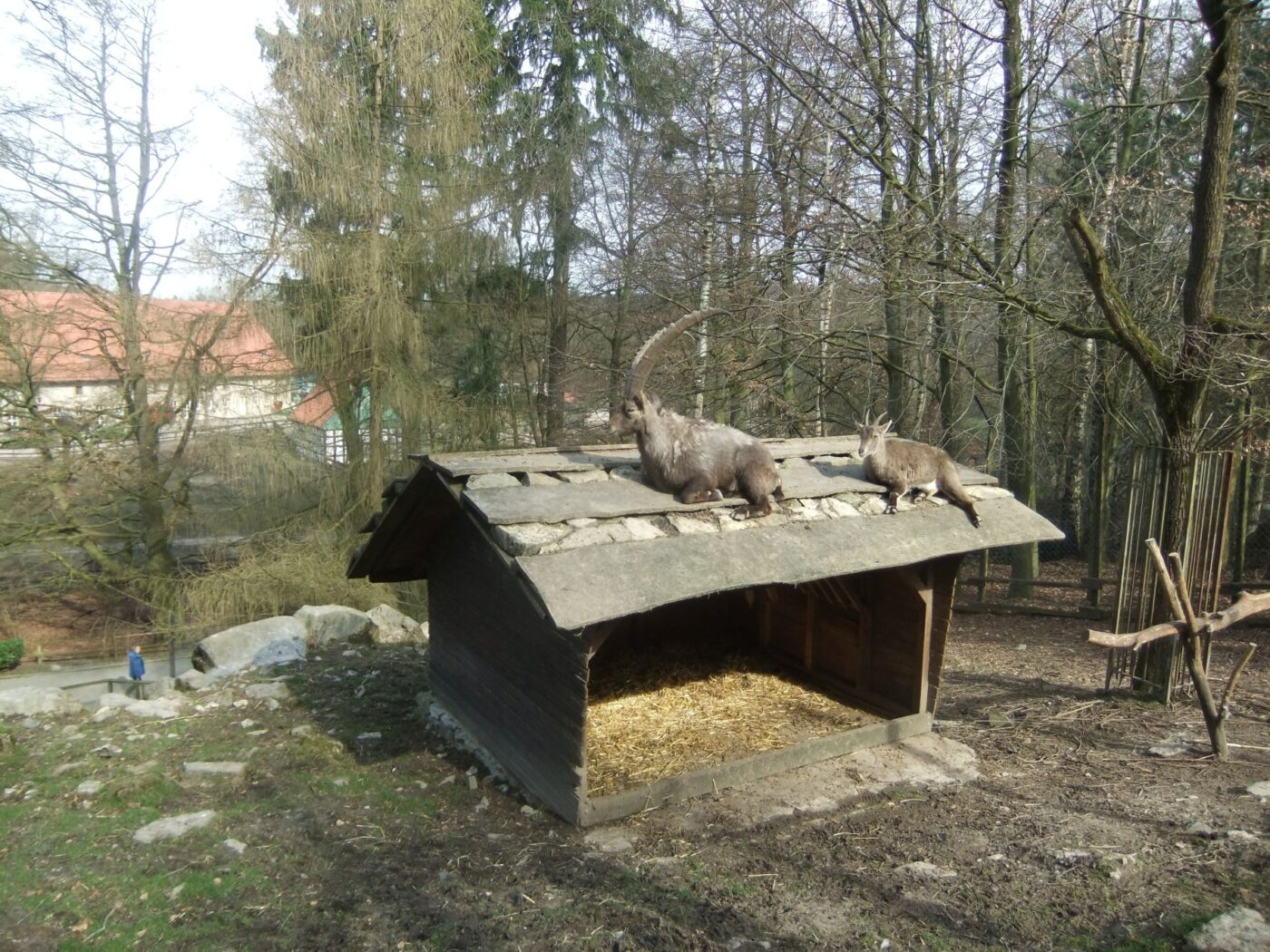 Heimat-Tierpark Olderdissen – Hundeort für Hunde