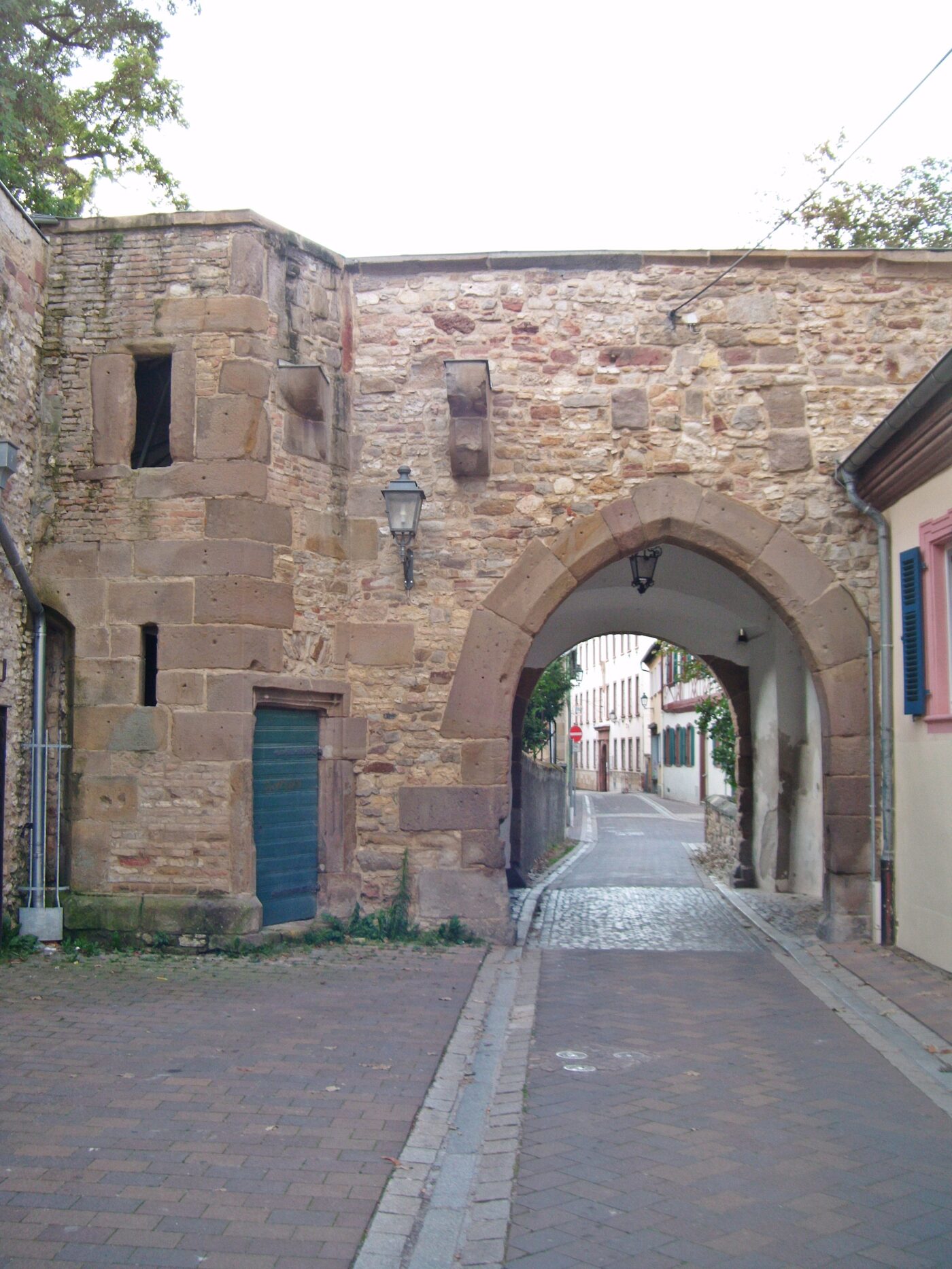 Blick auf Alzey – hundefreundliche Region rund um Kimbaland