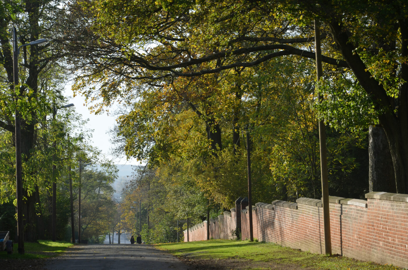 Linden-Garten – Hundeort für Hunde